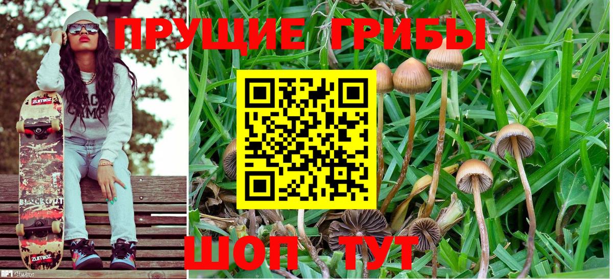Галлюциногенные грибы GOLDEN TEACHER  Вход с VPN  Железногорск 
