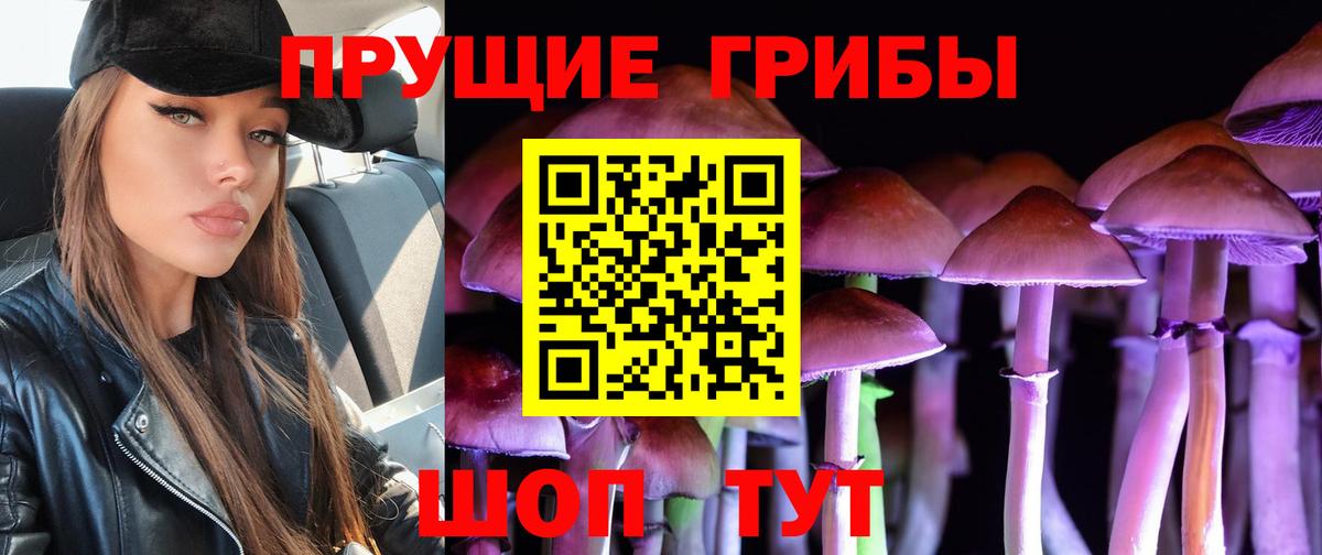 Псилоцибиновые грибы мухоморы Железногорск